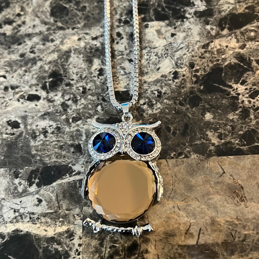 Betsey Johnson Blue Crystal Owl Necklace